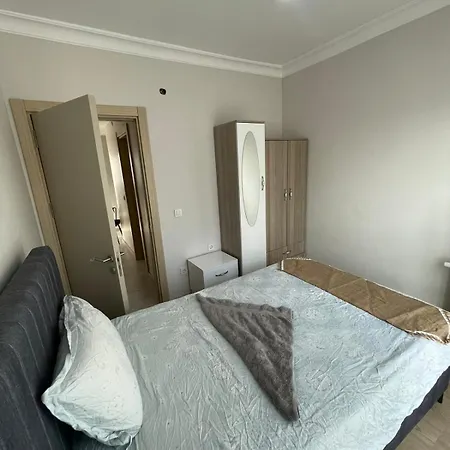 Newly Furnished Big