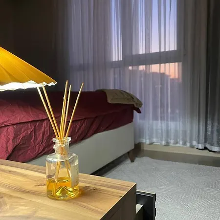 Newly Furnished Big Apartment